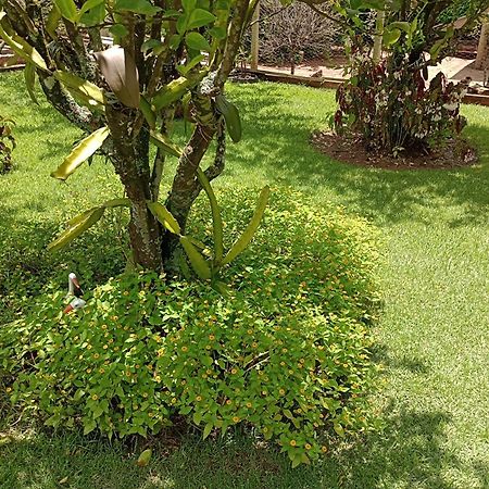 Pousada Chácara VIVALLI Holambra Exterior foto