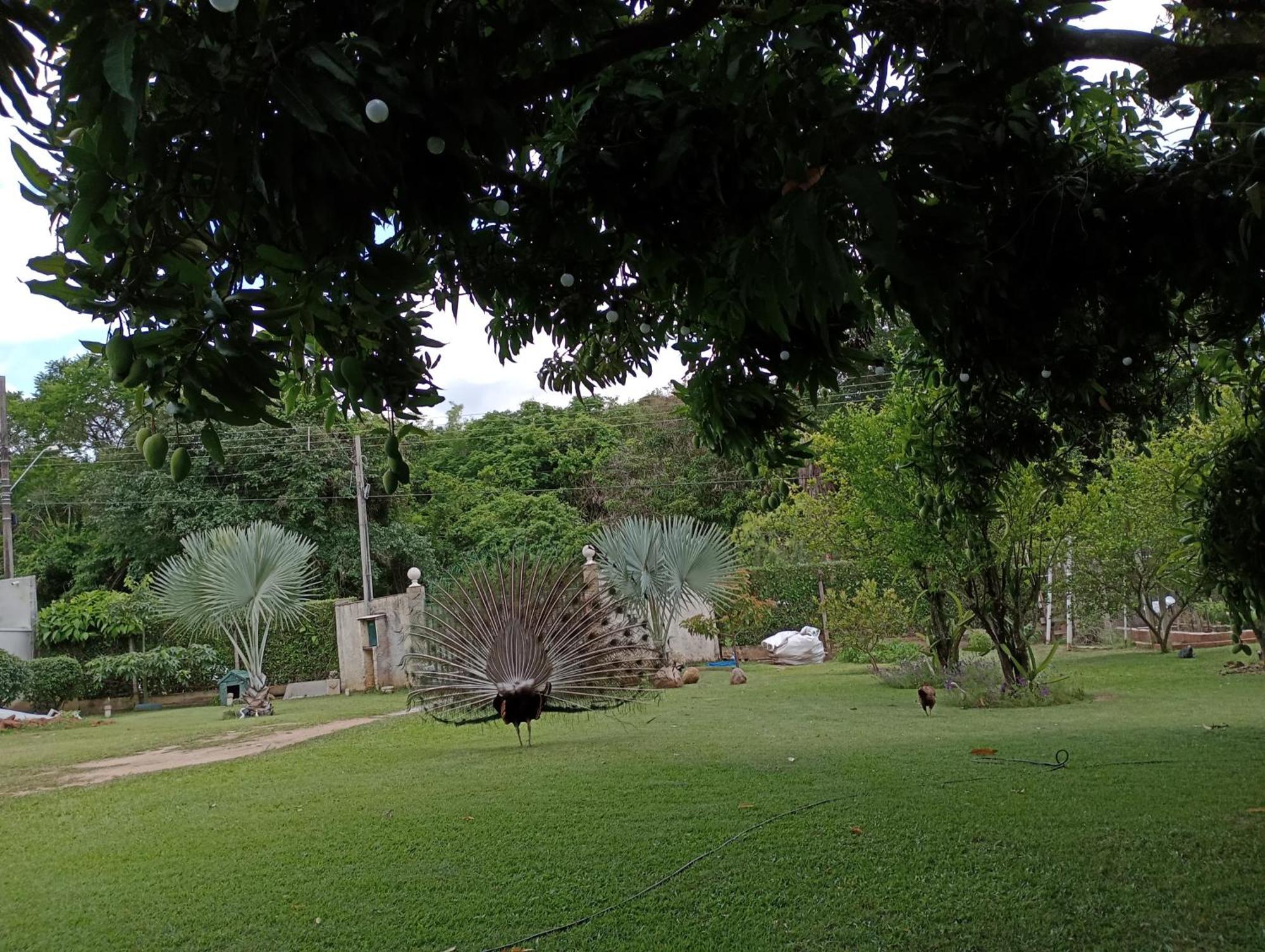 Pousada Chácara VIVALLI Holambra Exterior foto