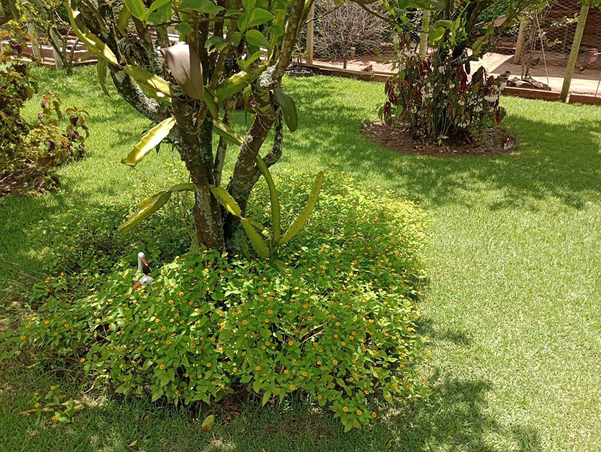 Pousada Chácara VIVALLI Holambra Exterior foto